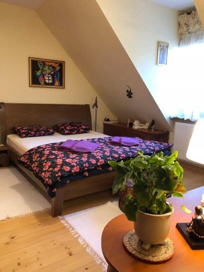مبيت وإفطار Piwniczna-Zdroj Willa Nad Popradem المظهر الخارجي الصورة